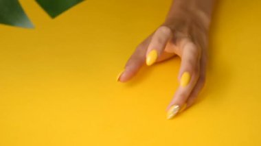 Tırnak sanatıyla güzel sarı zarif manikürlü bir kadın eli. Taşlı ve parıltılı tasarım. Canavar yaprağı, yaz havası.