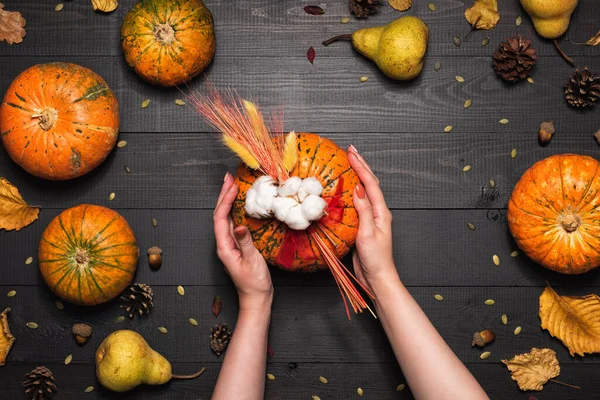 Female hands holding festive fall decor from pumpkins, leaves, and wheat on a dark wooden background. Thanksgiving Day or Halloween composition, flat lay