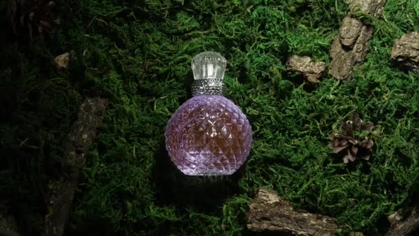 Glasflasche violette Farbe Parfüm auf grünem Moos Hintergrund — Stockvideo