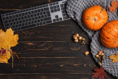 Çalışma alanına dizüstü bilgisayar, sarı ve kırmızı akçaağaç yaprakları ve balkabağı.