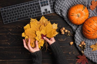 Sarı ve kırmızı akçaağaç yaprakları ile çalışma alanında dizüstü bilgisayar yazan kadın elleri