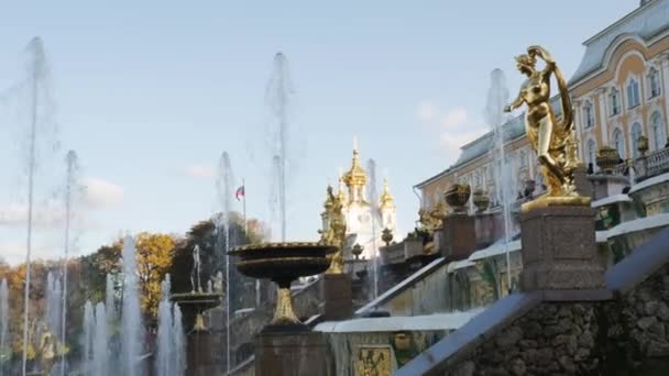 彼得哥夫的大瀑布和参孙喷泉 金秋季节的彼得霍夫宫 — 图库视频影像