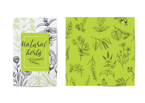 Template card with medicinal herbs. Seamless vector pattern. Wild healing plants. Vintage flowers. Hand drawing illustration. Engravings style. Botanical green background. Pharmacy natural herbs. — Stock Illustration Template Card Medicinal Herbs Seamless Vector Pattern Wild Healing Plants Royalty Free Stock Illustrations