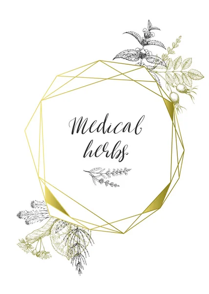 Golden polygonal frame from medical flowers and herbs. Wild healing plants. Vintage flowers. Hand drawing vector illustration. Engravings style. Botanical elegant background. Pharmacy herbs. — Stock Illustration Golden Polygonal Frame Medical Flowers Herbs Wild Healing Plants Vintage Stock Illustration