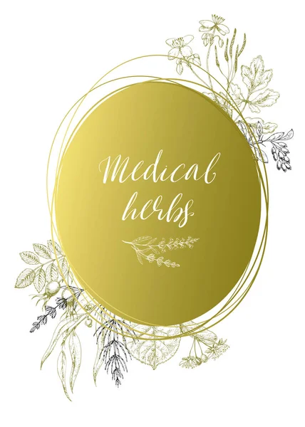 Golden elegant frame from medical flowers and herbs. Wild healing plants. Vintage flowers. Hand drawing vector illustration. Engravings style. Botanical background. Pharmacy herbs. — Stock Illustration Golden Elegant Frame Medical Flowers Herbs Wild Healing Plants Vintage Stock Vector