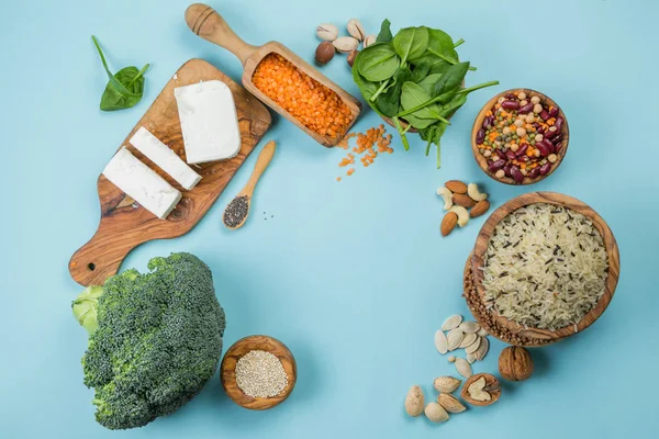 Wybór źródeł białka wegetariańska - koncentraty zdrowej diety — Zdjęcie stockowe