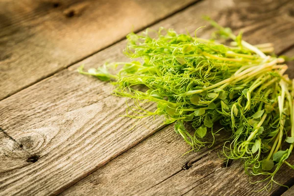 Pea micro greens on rustic background, copy space — Stock Photo, Image