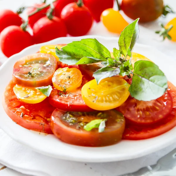 Renkli domates salatası fesleğen — Stok fotoğraf