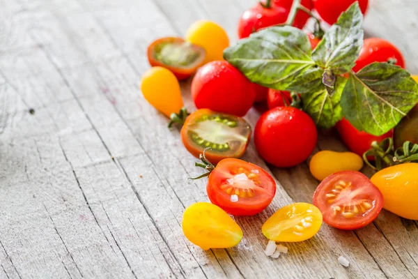 Kolorowe pomidory, bazylia — Zdjęcie stockowe