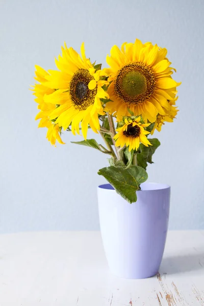 Sunflowers against light blue background — Stock Photo, Image