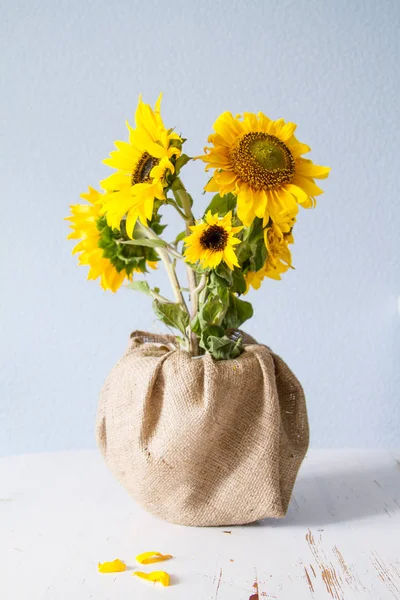 Sonnenblumen vor hellblauem Hintergrund — Stockfoto