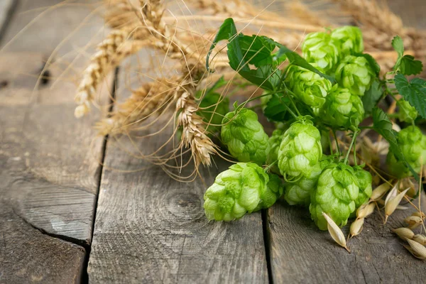 Beer ingredients - hops, wheat, barley on rustic wood background — Stock Photo, Image