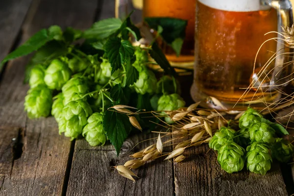 Beer and ingredients hops, wheat, barley on wood background