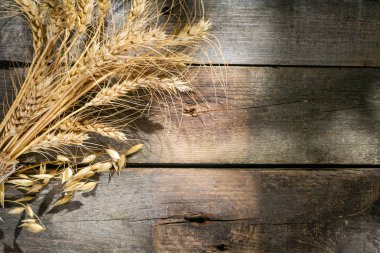 Shavout kavramı - tahıl, süt ve peynir ahşap arka plan üzerinde