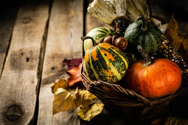 Thanksgiving concept - pumpkins, leaves, wood background — Stock Photo, Image