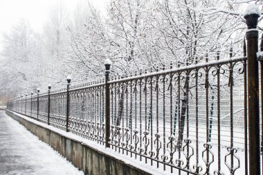 Demir çit ve kar desen