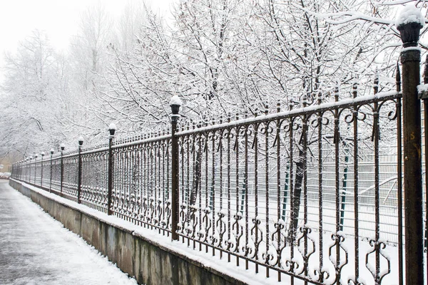 Demir çit ve kar desen