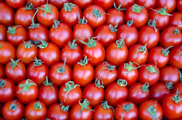 kırmızı domates yeşil kuyrukları ile