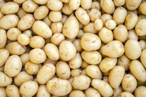 toplu olarak genç patates