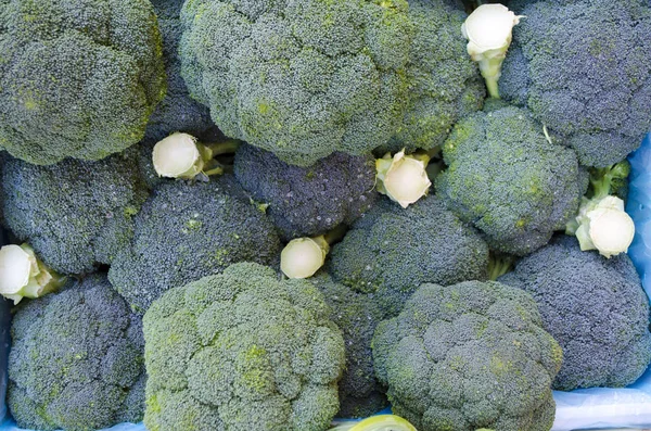 Mavi ve yeşil karnabahar