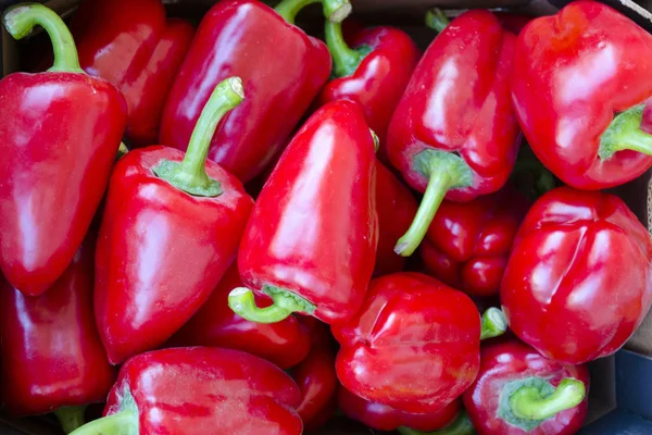    Tatlı kırmızı biber yeşil kuyrukları ile