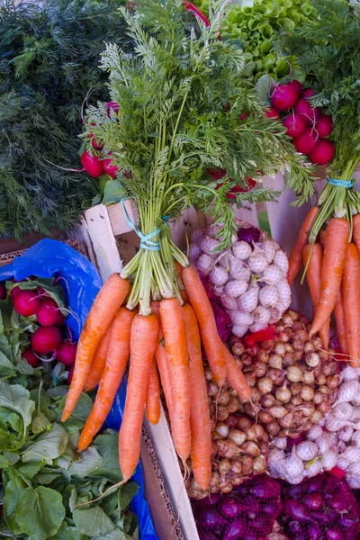 yeşil kuyruk ile turuncu havuç