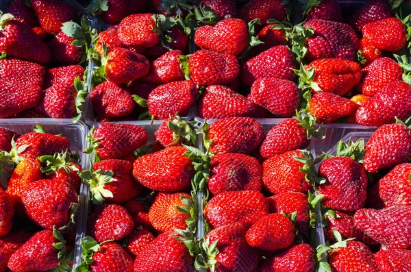 Olgun taze kırmızı çilek