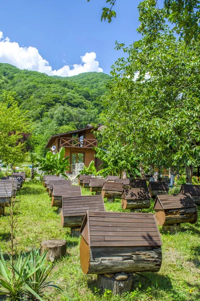 Abhazya dağlarda arı arı kovanı