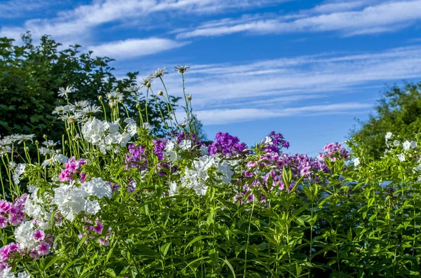 Mavi gökyüzü ile renk seçimi