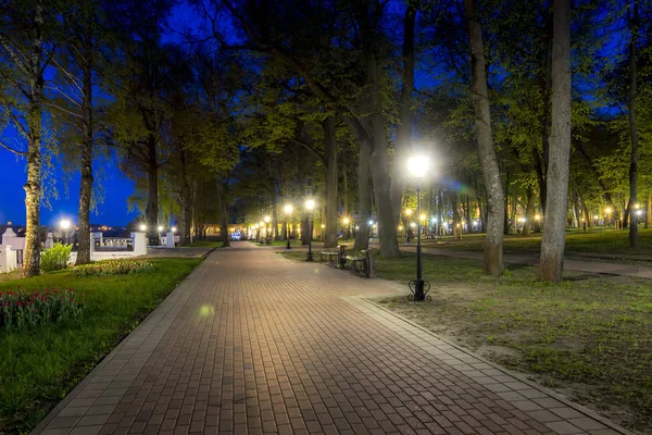 Parque noturno no verão . — Fotografia de Stock