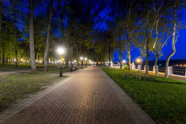 Parque noturno no verão . — Fotografia de Stock