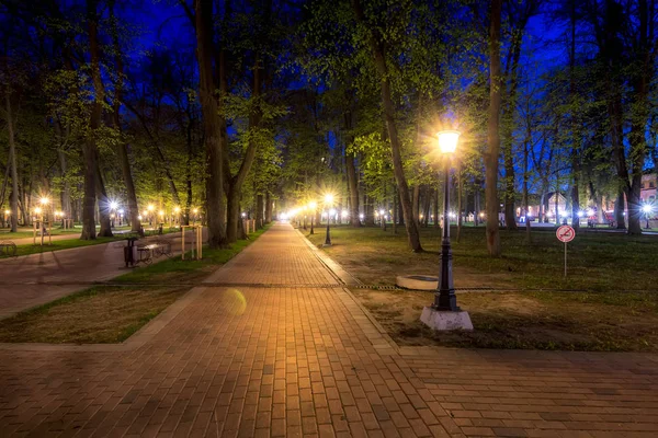 Noční Park v létě. — Stock fotografie