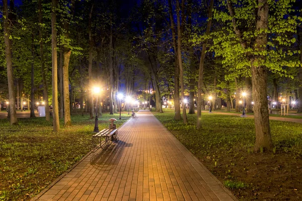 Nacht Park in de zomer. — Stockfoto