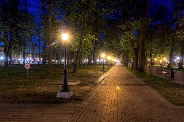 Parque noturno no verão . — Fotografia de Stock