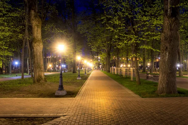Night park in summer. — Stock Photo, Image