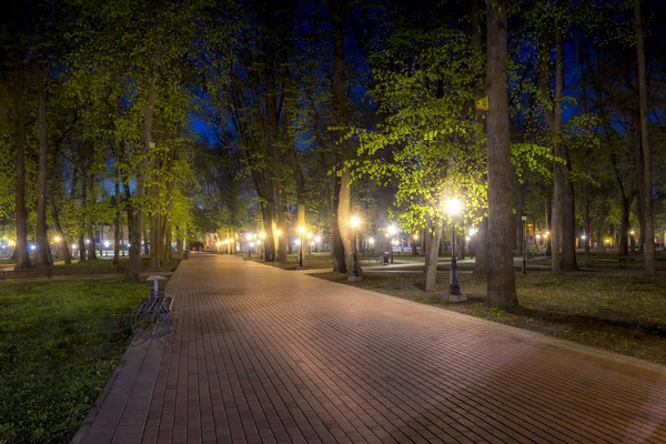 Parque noturno no verão . — Fotografia de Stock