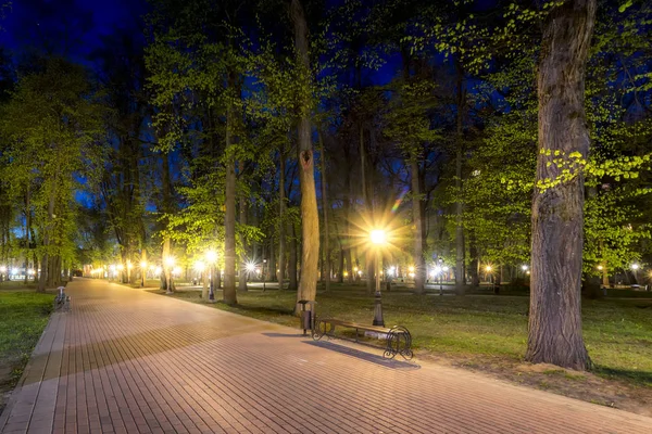 夏季夜公园. — 图库照片