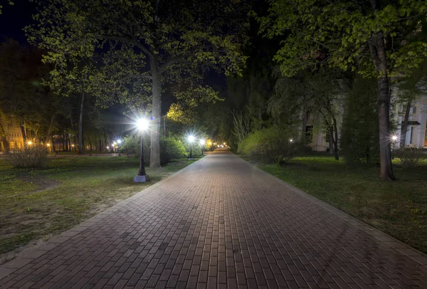 Parque noturno no verão . — Fotografia de Stock