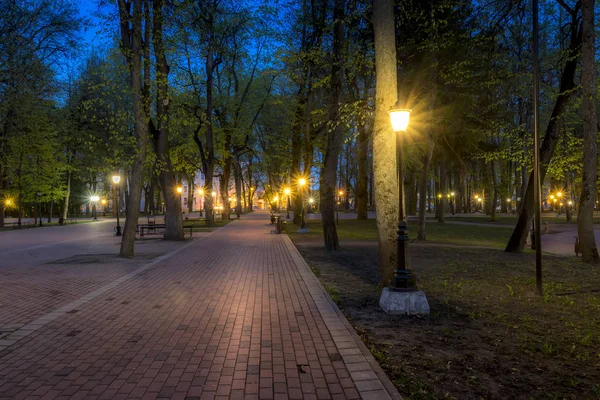 Parque noturno no verão . — Fotografia de Stock