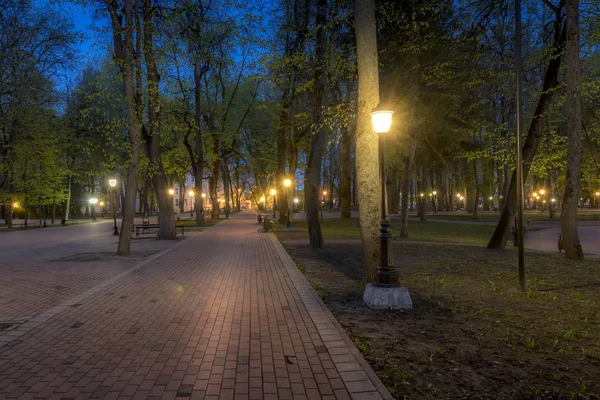 Parque noturno no verão . — Fotografia de Stock