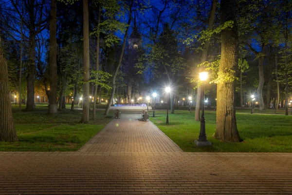 Parque noturno no verão . — Fotografia de Stock