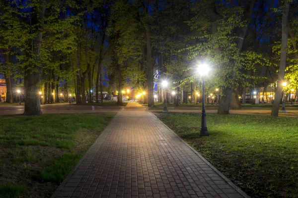 Parque noturno no verão . — Fotografia de Stock