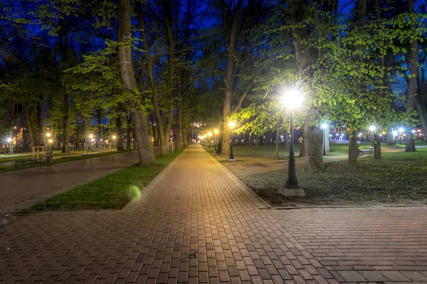 Parque noturno no verão . — Fotografia de Stock