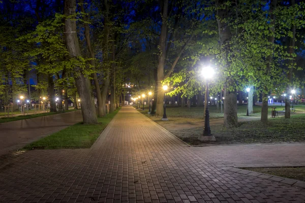 Noční Park v létě. — Stock fotografie