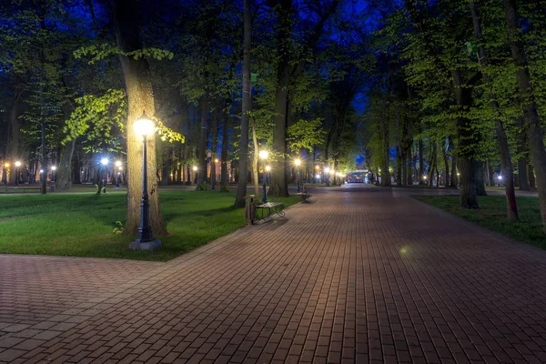 Nacht Park in de zomer. — Stockfoto