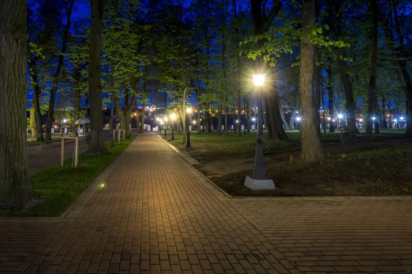 夏季夜公园. — 图库照片
