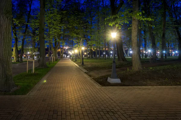 Parque noturno no verão . — Fotografia de Stock