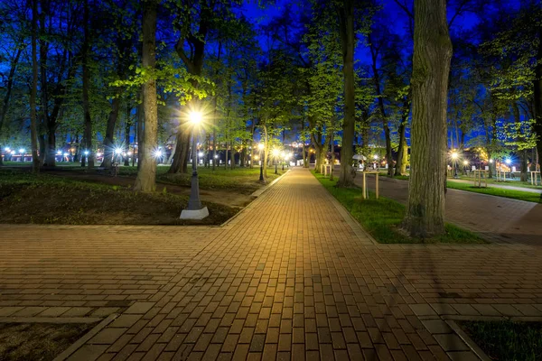 Noční Park v létě. — Stock fotografie