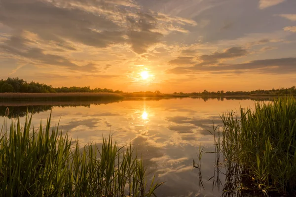 Sonnenuntergang über dem Teich oder See mit bewölktem Himmel im Sommer und wate — Stockfoto