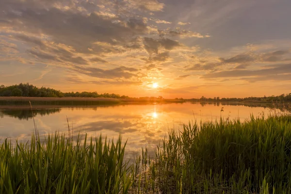 Solnedgång över dammen eller sjön med molnigt himmel på sommaren och Wate — Stockfoto